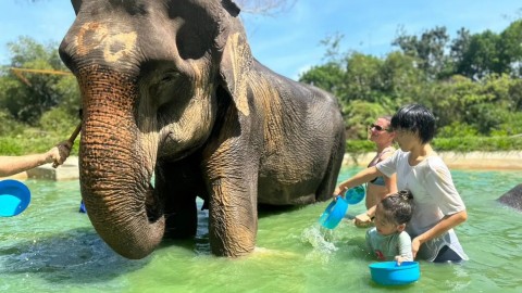 Катание на слоне + купание
